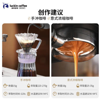 瑞幸咖啡咖啡豆 SOE耶加雪菲咖啡豆250克/袋 中烘门店同源小黑杯精品生豆 商品图0