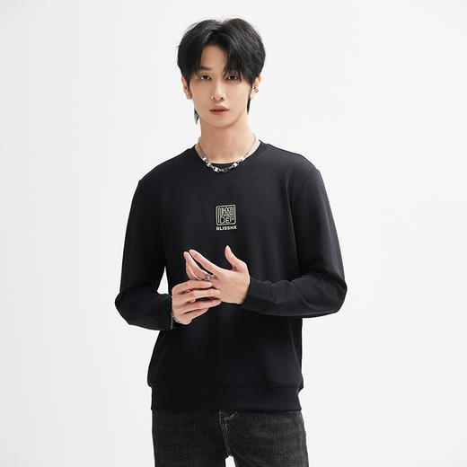 【断码清仓】HX 春秋季圆领卫衣空气层面料S106433020101/02 商品图1