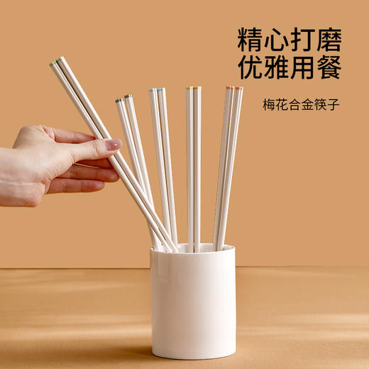 FaSoLa合金筷子家用高档新款抗菌防霉防滑耐高温高颜值分食一人一筷 商品图0
