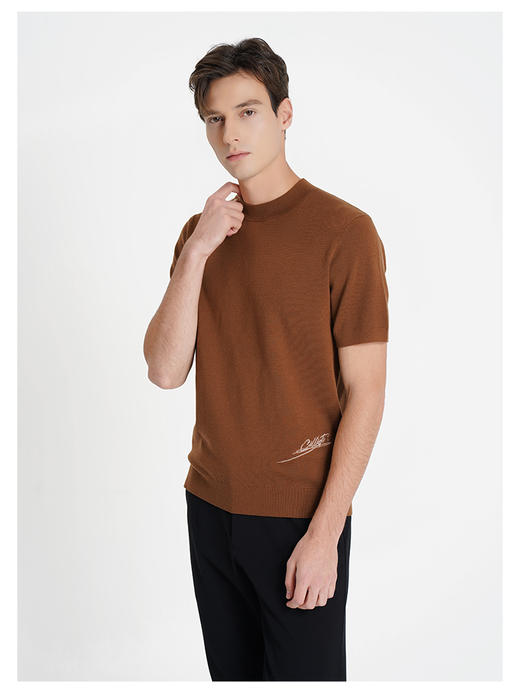 callisto咖啡色绵羊毛混纺短袖毛衣 商品图3