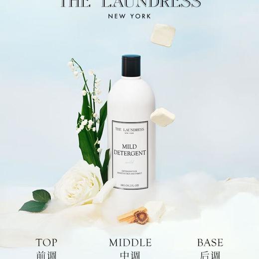 THE LAUNDRESS温和洗衣液1kg/瓶 商品图0