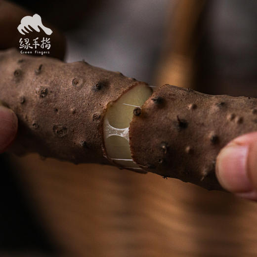 生态温县铁棍山药 | 合作生产*Eco-Iron yam | Coproduction 商品图3