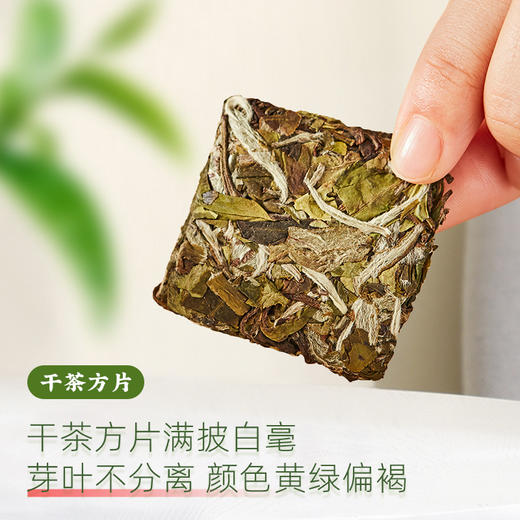 正宗福鼎老白茶2018年花香白牡丹独立包装小方片紧压便携小茶饼干茶50g CM 商品图1