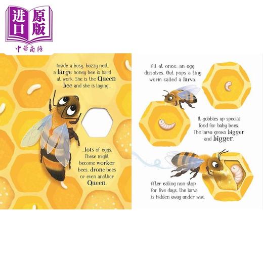 【中商原版】一只小蜜蜂 One Little Bee 英文原版 儿童纸板绘本 纸板书 亲子科普故事知识图画书 进口低幼童书 3-6岁幼儿读物 商品图1