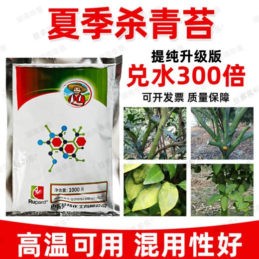 垦多乐杀青苔助剂强力除青苔剂不影响果树柑橘柚子墙面除青苔助剂 商品图2