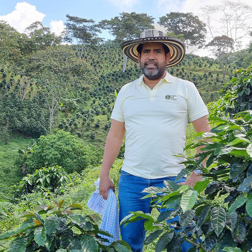 正谷Cavell哥伦比亚瑰夏咖啡豆 商品图11