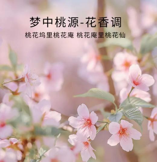 车用香氛片 梦中桃源 商品图0