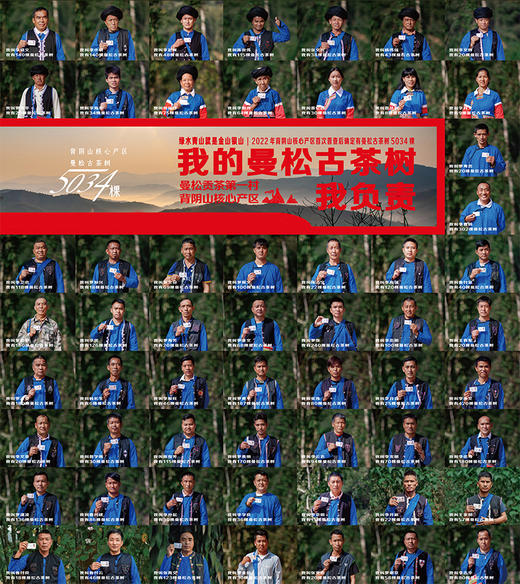 礼遇专场| 曼松生茶龙珠 | 云南发货 商品图5