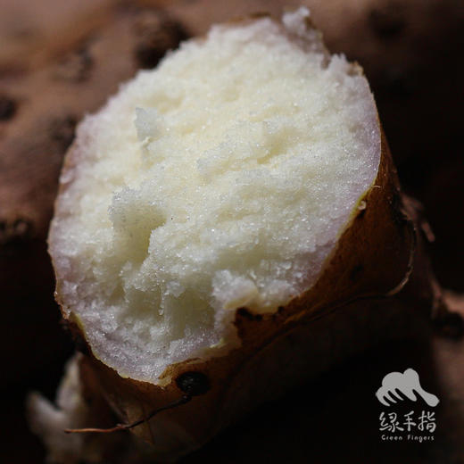 生态温县铁棍山药 | 合作生产*Eco-Iron yam | Coproduction 商品图2