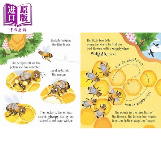 【中商原版】一只小蜜蜂 One Little Bee 英文原版 儿童纸板绘本 纸板书 亲子科普故事知识图画书 进口低幼童书 3-6岁幼儿读物 商品图3