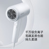 飞科 FLYCO 电吹风机宿舍用 柔风负离子恒温护发 家用冷热大风量快速干发吹风筒FH6290 1800W 商品缩略图0
