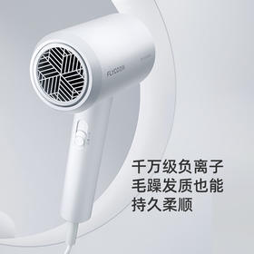 飞科 FLYCO 电吹风机宿舍用 柔风负离子恒温护发 家用冷热大风量快速干发吹风筒FH6290 1800W