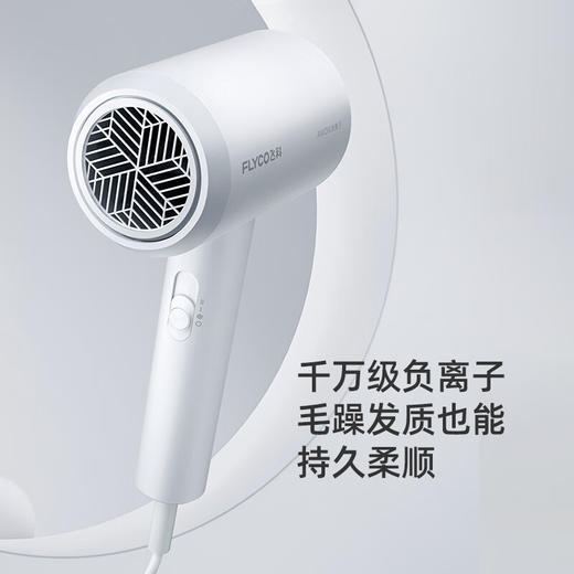 飞科 FLYCO 电吹风机宿舍用 柔风负离子恒温护发 家用冷热大风量快速干发吹风筒FH6290 1800W 商品图0