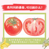 诺贝尔科学馆：番茄（精）(3岁+) 商品缩略图3