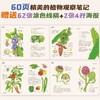 【小红书爆款】给孩子的果蔬观察笔记 （套装两册） 商品缩略图2