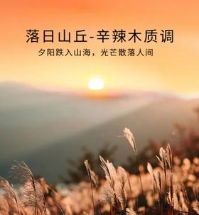 车用香氛片 落日山丘