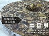 【会员推荐】6年陈老白茶饼2018立秋寿眉饼《幽篁里》，枣香与药香、陈香、花香的碰撞，茶汤沁凉，带着竹叶的清凉！ 商品缩略图6