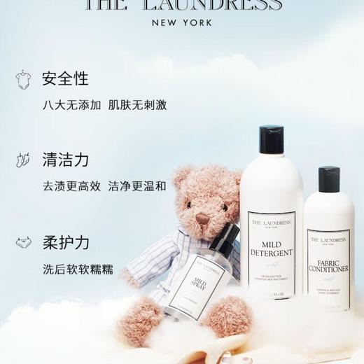 THE LAUNDRESS温和洗衣液1kg/瓶 商品图1