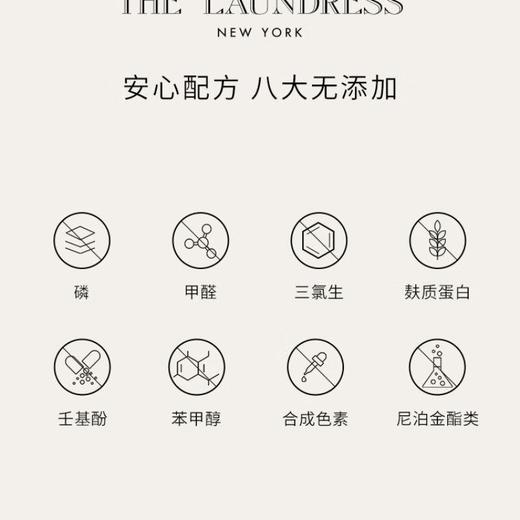 THE LAUNDRESS细致衣物洗衣液 500g/瓶 商品图4
