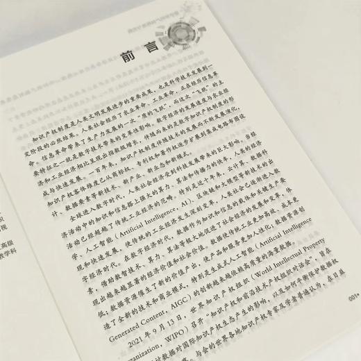 数字知识产权理论与实践 立足数字知识产权理论创新 抢占未来数字产业发展新赛道 知识产权读本 加快形*质生产力 商品图2