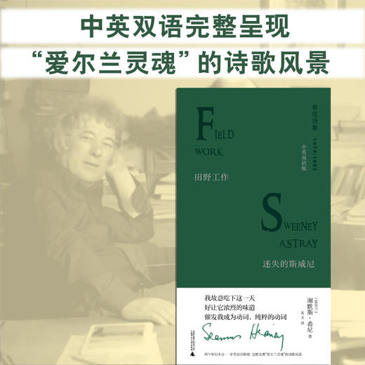 诺奖得主希尼诗集 中英对照 精美皮质外封 商品图4