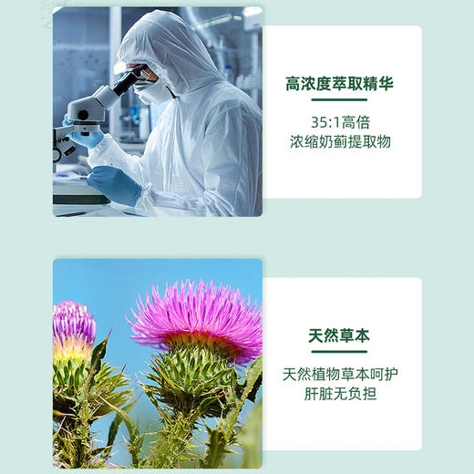 HB 荷柏瑞 奶蓟草胶囊100mg 30粒（偏远地区不包邮） 商品图3