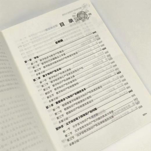 数字知识产权理论与实践 立足数字知识产权理论创新 抢占未来数字产业发展新赛道 知识产权读本 加快形*质生产力 商品图3