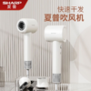 夏普SHARP家用吹风机高速电吹风速干低噪音负离子大风力智能温控护发养发低音电吹风筒【白色】IB-RP45C-W 商品缩略图0