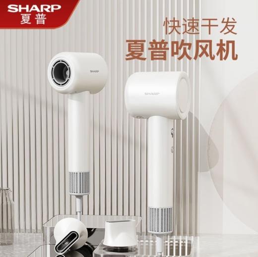 夏普SHARP家用吹风机高速电吹风速干低噪音负离子大风力智能温控护发养发低音电吹风筒【白色】IB-RP45C-W 商品图0
