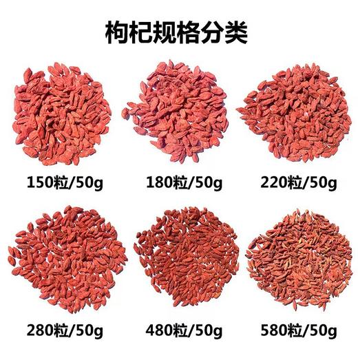 宁夏头茬枸杞 中宁特级枸杞500g新货大颗粒枸杞子特级枸杞超市爆款 商品图2