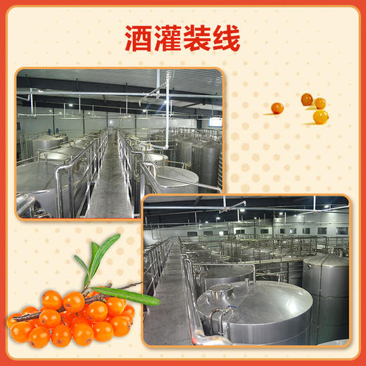 冰琅沙棘冰酒11° 商品图3