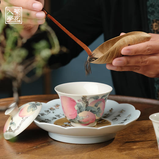 繁花入梦鹦鹉探梅壶承 商品图2