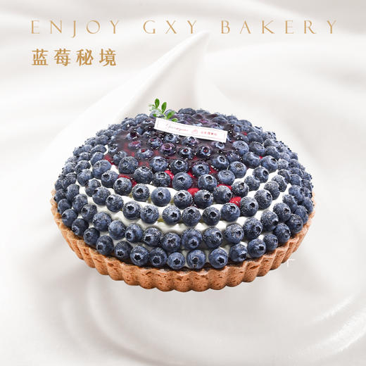 【蓝莓秘境】新款纯动物奶油生日蛋糕【除夕当天下午三点后订单暂不预约】【1月29日恢复正常预约】 商品图0