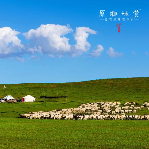 生态羊肝粉（基地直发-顺丰包邮 ）| 100g/罐，来自内蒙古自治区锡林郭勒盟，生产者：何梅【合作生产，公平贸易】 商品图5
