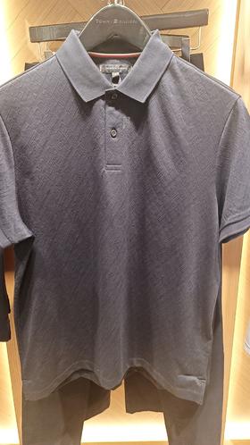TOMMY男短袖POLO衫MW0MW35611-DW5