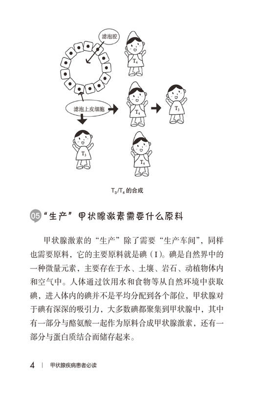 甲状腺疾病患者必读 写给患者的健康指导书系 于秀辰 甲状腺基础知识疾病病因临床表现诊治预防 中国医药科技出版社9787521442908 商品图3