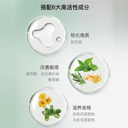 【专柜】博柔洗发水清爽控油蓬松头皮护理毛囊清洁控油洗发水男女持久去油600ml 商品图4