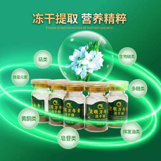 【12.15直播专享价 买2赠1 到手3盒】丰义 虎眼万年青冻干粉 1g*20瓶/盒 冻干提取营养精粹 商品图1