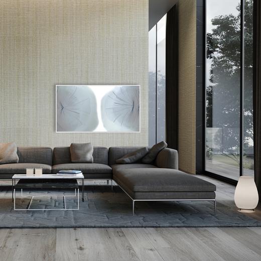 帅鹰《一念之间No.2》199版 商品图4