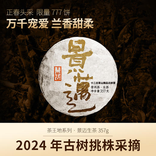 【茶王地系列】2024年景迈古树纯料357克生饼 商品图0