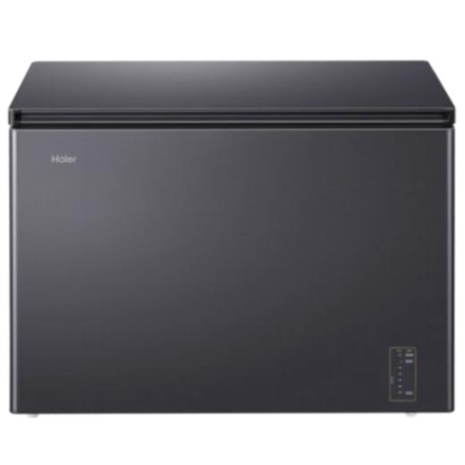 海尔冷柜 BC/BD-241WGHESM 商品图0