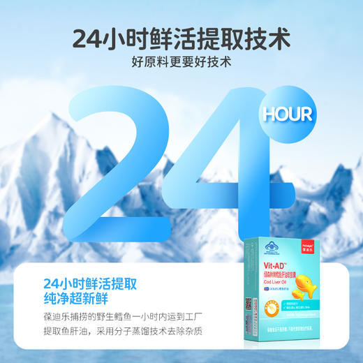 葆迪乐鳕鱼肝油软胶囊（可滴服型） 商品图3