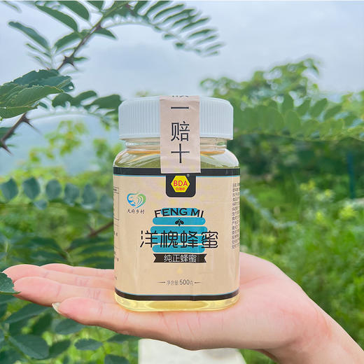 包德安/BDA洋槐蜂蜜 商品图2