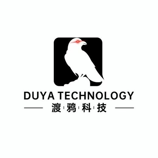 02.渡鸦主创（老板/运营/投流/内容） 商品图0