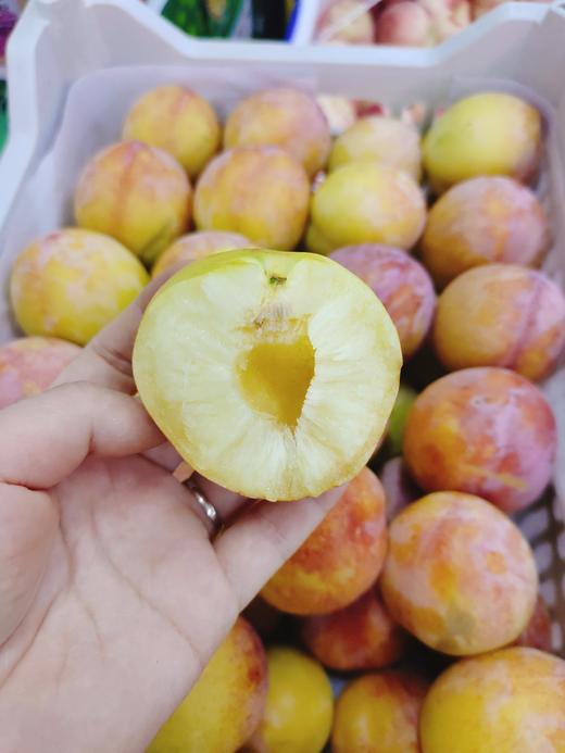 大红袍李子3斤 商品图3