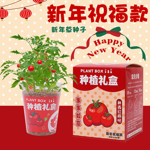 【开学礼~亲手种植属于自己的盆栽】植物盲盒diy 儿童盆栽 活动礼品绿植 幼儿园小学生开学礼物 新年礼物小学生-QQ 商品图1