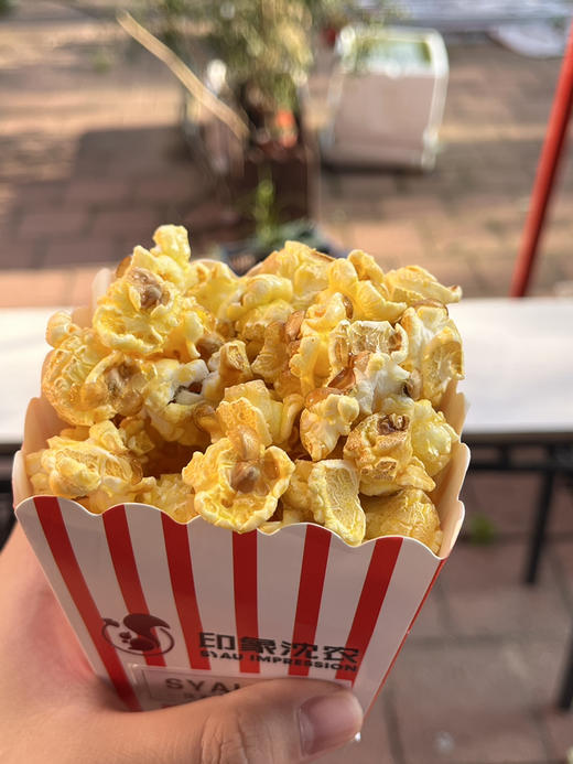 爆裂玉米欧爆沈阳农业大学农学院球形三合一爆米花 欧爆爆米花 商品图5