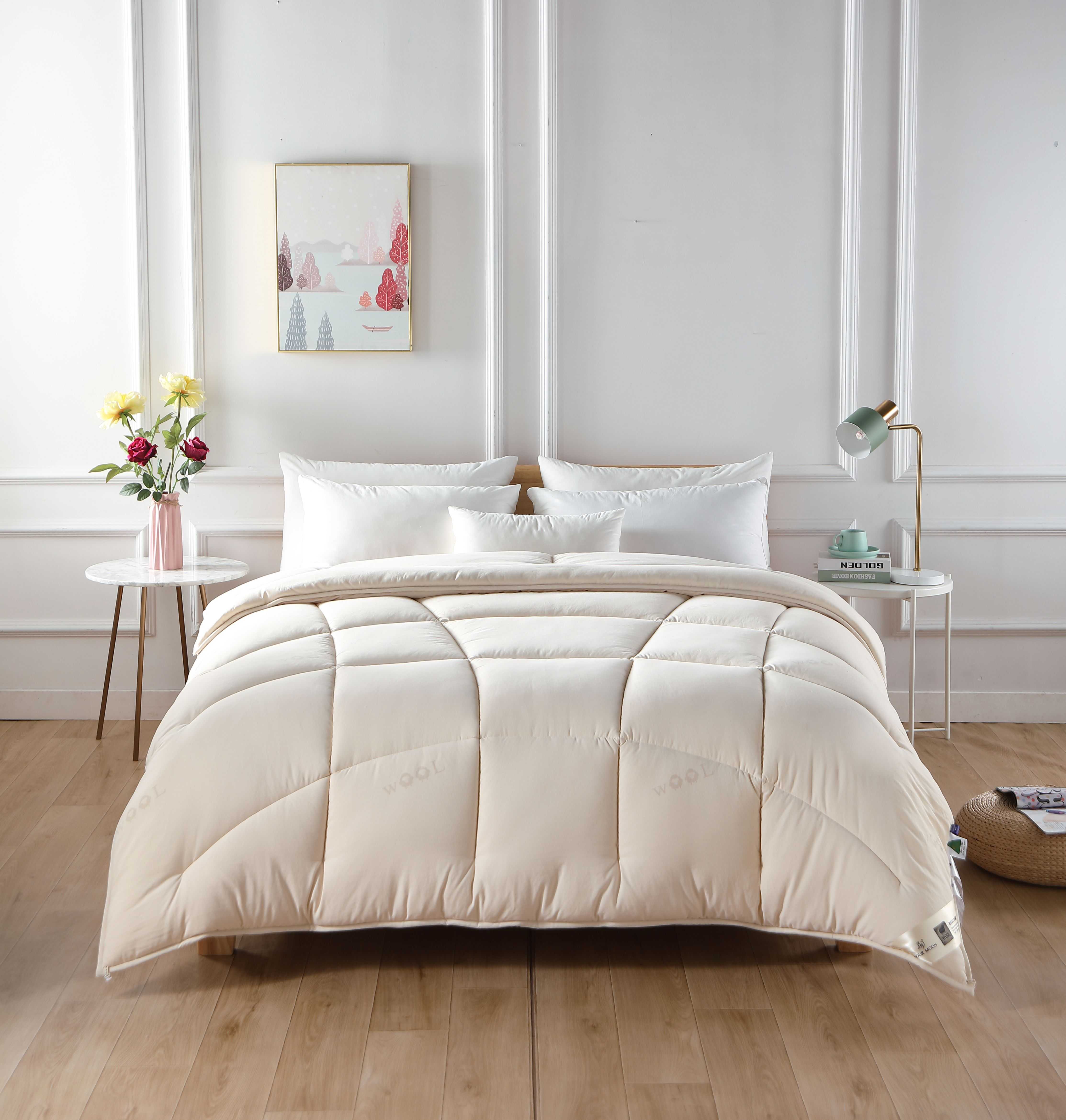 【远梦】澳洲羊毛双层芯被