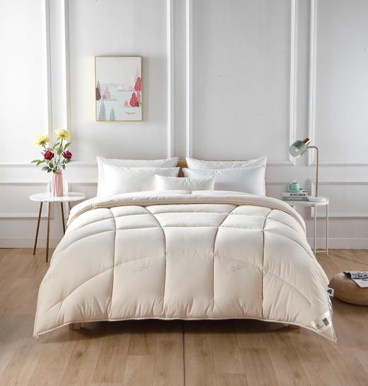 【远梦】澳洲羊毛双层芯被 商品图0