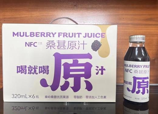 NFC桑葚原汁 商品图1